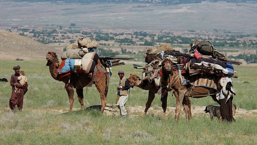 پشتونیزه‌سازی شمال افغانستان از امان‌الله تا هیبت‌الله؛ 40هزار پاکستانی در شمال جابه‌جا شده‌‌اند