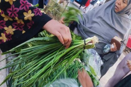 دختر دانش‌آموز: گروه طالبان ما را از صنف درسی به کارگری روی خیابان کشانیده اند