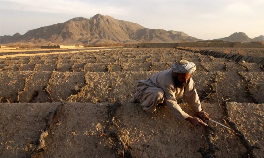 اوچا: افغانستان یکی از آسیب‌پذیرترین کشورهای جهان در برابر بحران اقلیمی است