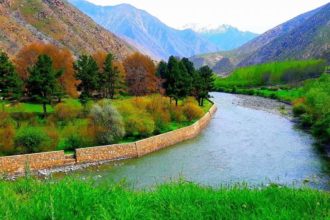 بازداشت مدیر زراعت گروه طالبان به اتهام تخطی در استان تخار