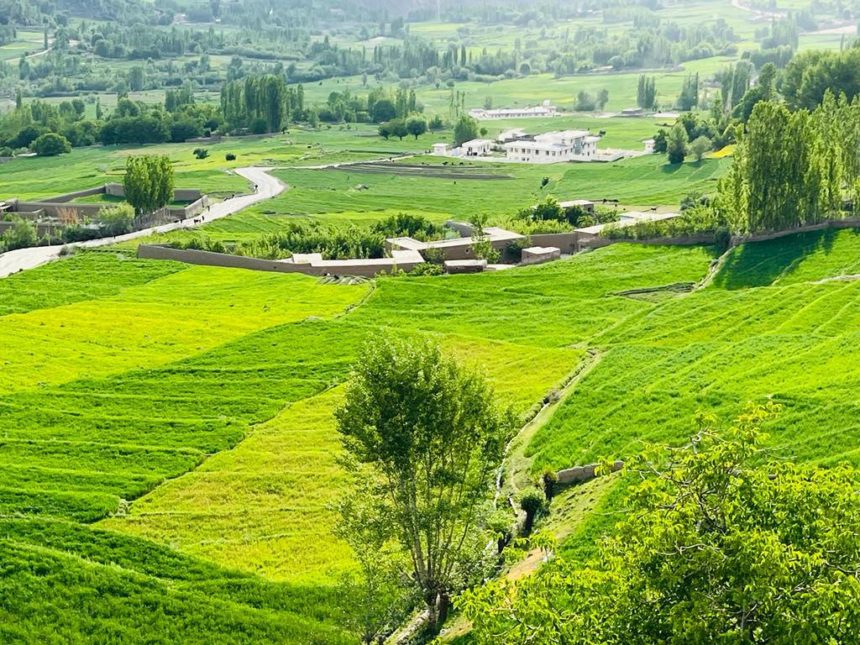 درگیری بر سر تقسیم علوفه در استان بغلان دو کشته برجا گذاشت