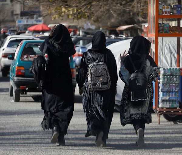 نهاد جهانی «آموزش منتظر نمی‌ماند» خواستار لغو ممنوعیت آموزش دختران افغانستانی شد