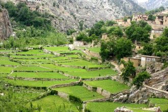 کشته‌شدن دو جنگ‌جوی گروه طالبان از سوی جبهه‌ی آزادی در استان لغمان