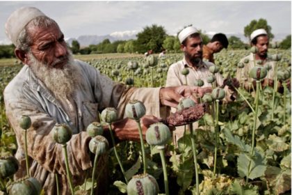 سازمان ملل ادعا دارد، افغانستان سریع‌ترین کشور در تولید متامفتامین در جهان است