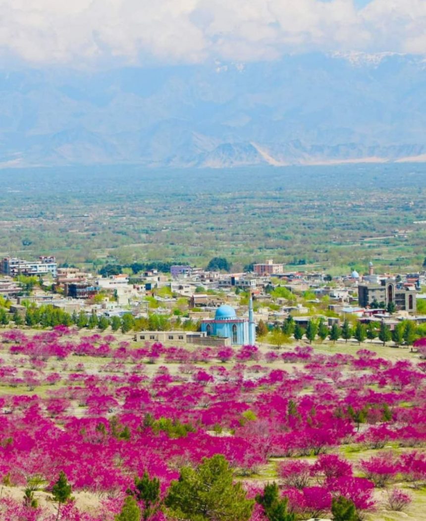 خودکشی یک دختر جوان در استان پروان