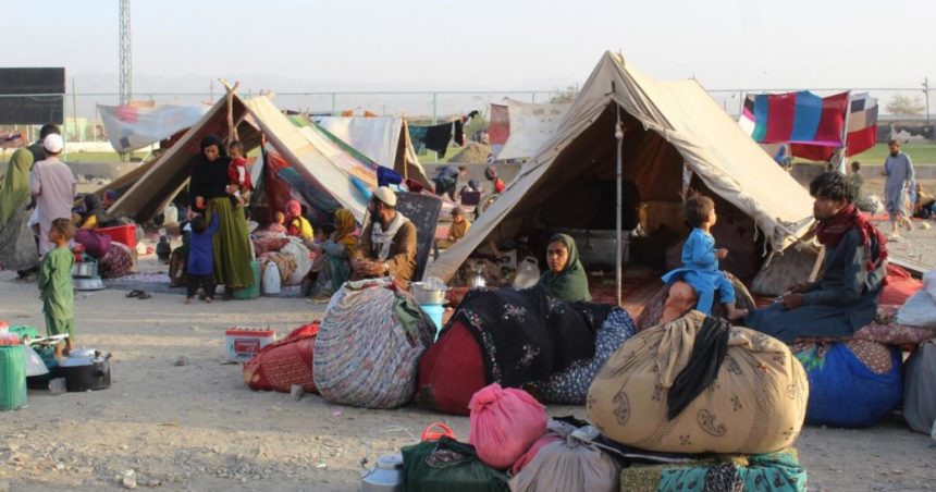 آمریکا: همسایگان افغانستان باید پناه‌جویان افغانستانی را در کشورشان مورد حمایت قرار دهند