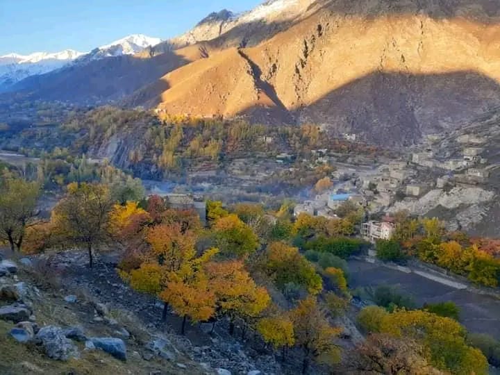 جابه‌جایی پشتون‌ها در استان پنج‌شیر توسط گروه طالبان