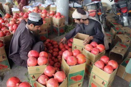 گروه طالبان: از صادرات انار قندهار ام‌سال نزدیک به ۲۰ میلیون دالر بدست آوردیم