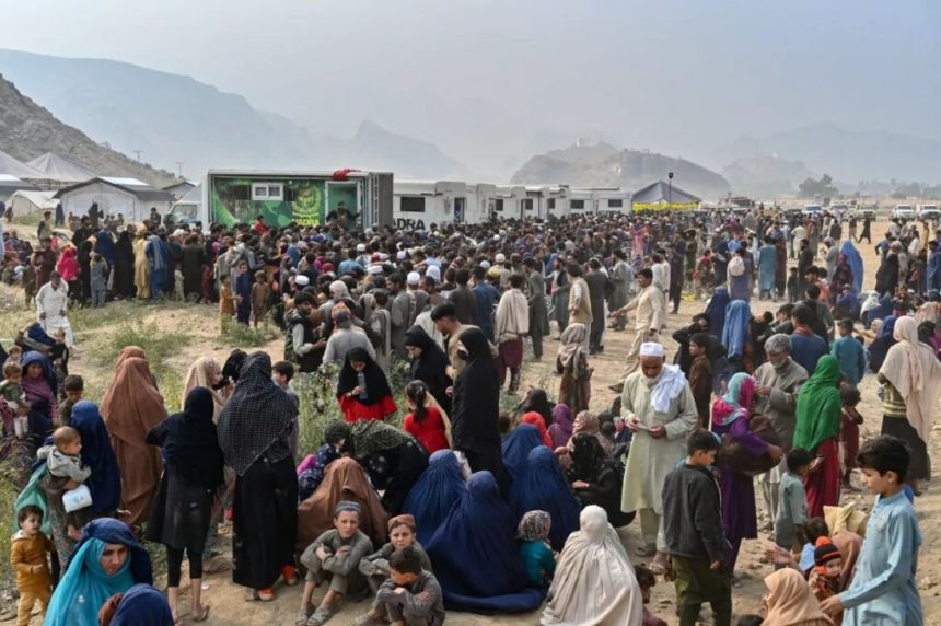 عفو بین‌الملل: اخراج اجباری پناه‌جویان افغانستانی از پاکستان زنان و دختران را از آموزش و تحصیل محروم می‌کند