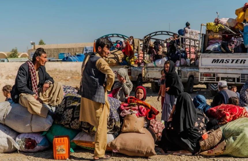 روند اخراج اجباری؛ تاکنون نزدیک به ۵۰۰ هزار مهاجر افغانستانی از پاکستان اخراج شدند
