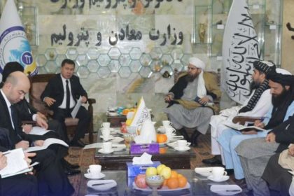 وزیر معادن و پترولیم طالبان با سفیر ترکمنستان دیدار کرد