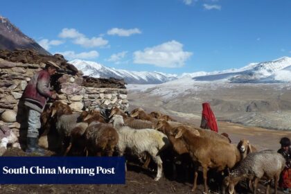 چرا چین از باز کردن راه جدید افغانستان به سین کیانگ محتاط است؟