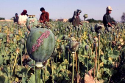 هند: آشفته‌گی افغانستان سبب شد تجارت مواد مخدر افزایش پیدا کند