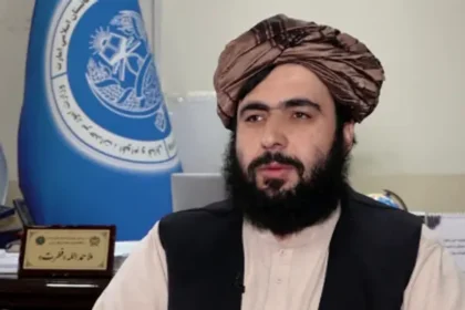 رهبر گروه طالبان حمدالله فطرت را به‌عنوان معاون جدید سخن‌گوی گروه طالبان معرفی کرد