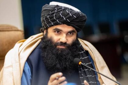 حقانی: اگر آمریکا طالبان را به رسمیت بشناسد خوب است اگر نشناسد هم مهم نیست