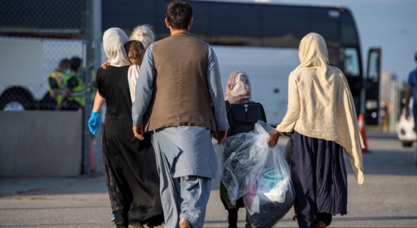 ۲۷۳‌‌ پناه‌جوی افغانستانی از پاکستان به کانادا منتقل شدند