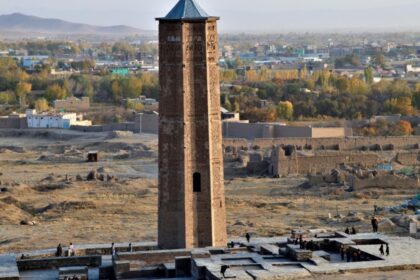 مردی در استان غزنی به قتل رسید