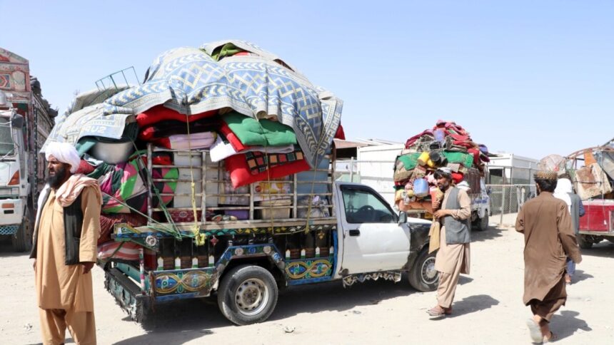 بیش از پنج‌هزار پناه‌جوی افغانستانی طی یک هفته‌ی گذشته از پاکستان اخراج شدند