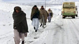 گروه طالبان: سرمای شدید جان دست‌کم ۲۰ نفر را گرفته و ۱۴ زخمی برجای گذاشته‌است