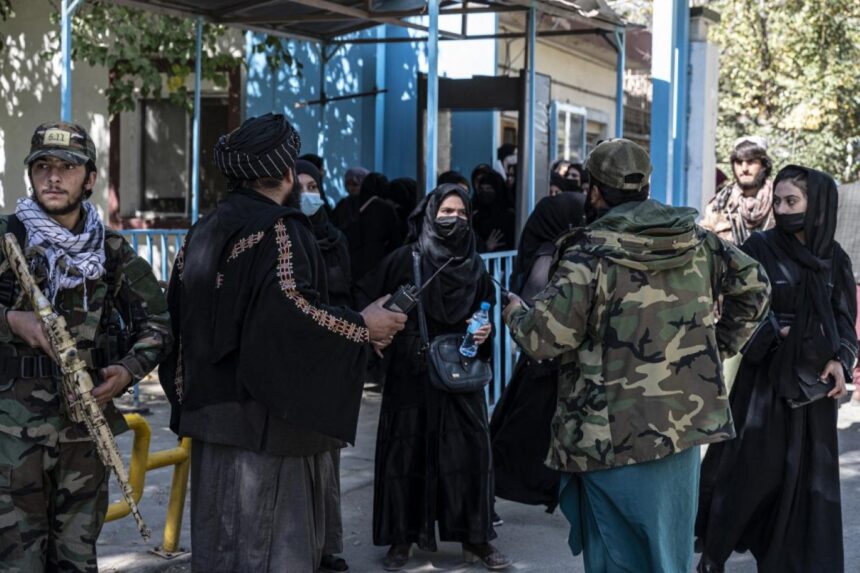 انتقاد دفتر زنان سازمان ملل از کنار گذاشتن زنان از تصمیم‌گیری‌ها در افغانستان
