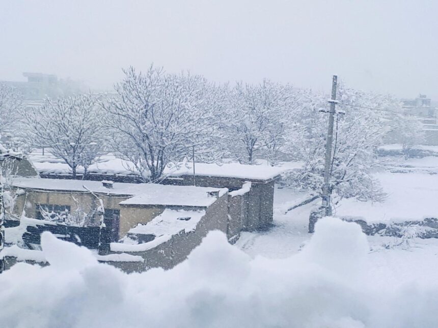 نُه تن در نتیجه‌ی برف‌باری و سردی هوا در چند استان کشور جان باختند