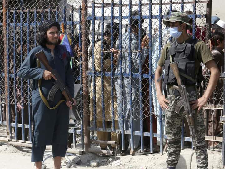 یک عضو طالبان و یک نظامی پاکستانی در درگیری‌های مرزی در پکتیا کشته شدند