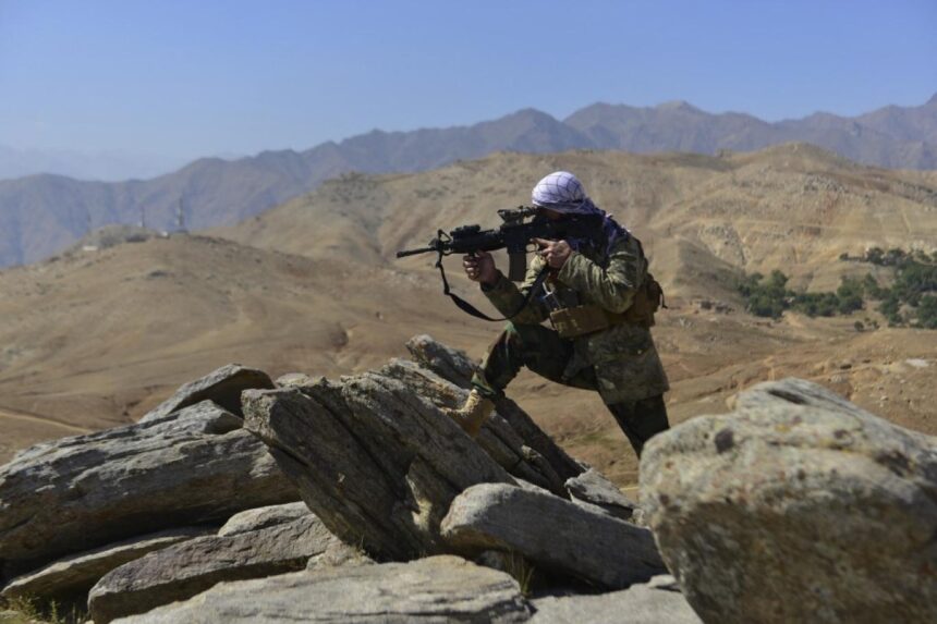 آژانس‌های اطلاعاتی آمریکا: مخالفان مسلح طالبان «رهبری قوی» و حمایت خارجی ندارند