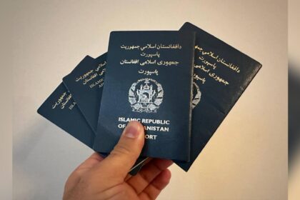 طالبان در جریان دوماه گذشته نزدیک به دو میلیارد روپیه‌ی کابلی را از بخش پاسپورت بدست آورده‌اند