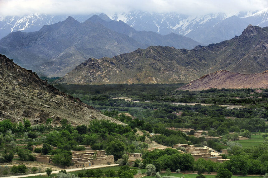 تفنگ‌داران ناشناس یک عضو طالبان را در کاپیسا به ر‌گ‌بار بستند